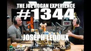 Joe Rogan Experience #1344 - Joseph LeDoux