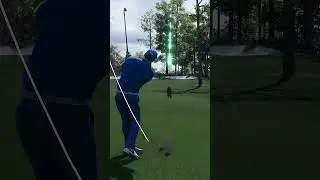 Stick Seaker at Augusta National  