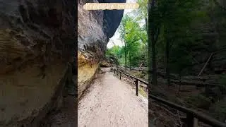 🇨🇿 A Hiker's Paradise: Exploring Gigantic Pravcicka Brana In Bohemian Switzerland 🇩🇪 #shortsvideo
