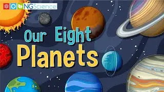 Our Eight Planets