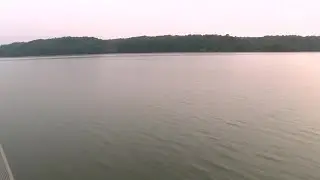 Опасен вид на риба во Вашингтон која не направи катастрофа