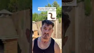 The ending LMAO 