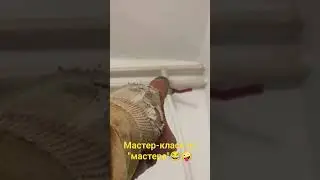 Советские коммуникации общежития
