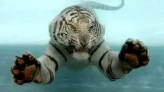 Swiming 
