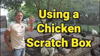 Using a Chicken Scratch Box