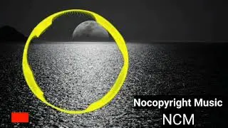 Vendredi - The Way We Shine ( NoCopyright Music NCM) Best 10