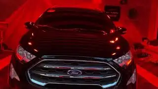 Primo Shine: Elite Kenzo Package curing