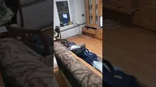 Укладываем ламинат своими руками,бюджетный вариант#ремонт #строительство