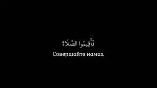 Сура Аль-Хадж.Аят-78.Чтец:Мансур Ас Салим.
