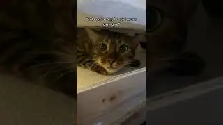 OOGLY BOOGLY B*TCH 😂 (Viral TikTok Trend) 