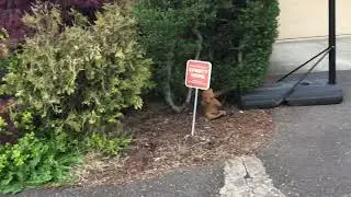 One of the old videos i forgot to edit!