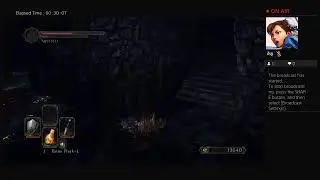 Dark Sowls
