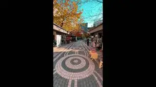 FATSA'YA TORUNLAR İNŞ DAMGASI
