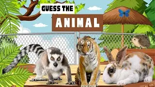 Would You Rather Challenge To Guess The Animal In The Picture#quiz #guess