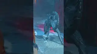 They Added A DOG To Dead By Daylight (DBD Alien PTB) 