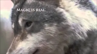 The Red Triskelion Book Trailer (Magic is Real)