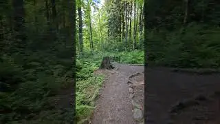 Заказник Комаровский берег 🌿