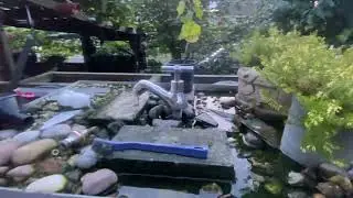 My fish tank and aquatic bird feeding station ￼