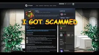 I GOT TRADE SCAMMED ON STEAM - Don't fall into the trap of trade scams!