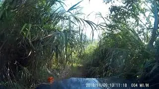 Amateur 4WD off-roading Tests: 6 of 6 Jungle trail (HD)