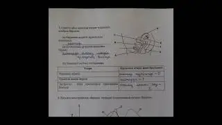 БИОЛОГИЯ БЖБ 9 СЫНЫП 4-ТОҚСАН