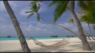💜 Paradise Revisited 💜 What A Gorgeous Weekend 💜