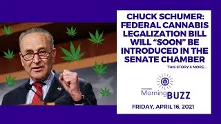 Chuck Schumer: Federal Cannabis Legalization Bill Will “Soon” Be Introduced in the Senate Chamber