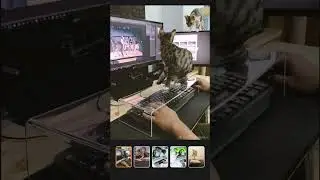 Позитив 4. Изобретения для котеек☺️ 