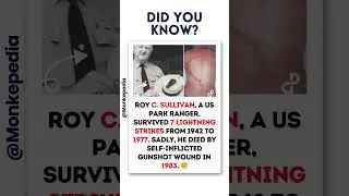 Mind's Share 🧠💪| #didyouknow  #facts #shorts #ytshorts #BrainHealth #OxygenBoost