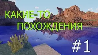 КАКИЕ-ТО ПОХОЖДЕНИЯ #1 - НОВЫЙ МИР