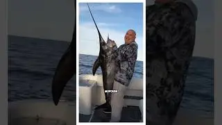 How dangerous is swordfish?