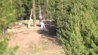 Sam Zip Line