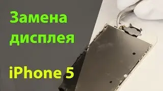 Замена дисплея на iPhone 5