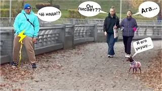 ПИСАЮ НА ГЛАЗАХ У ПРОХОЖИХ 😅🤣 УГАРНЫЙ ПРАНК НАД ПРОХОЖИМИ 😜 