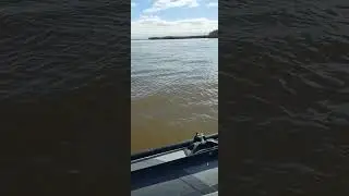 Проверка мотора после зимы 2024.