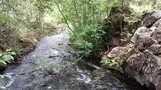 Видеофон 