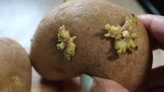 WOW 🤩 DELICIOUS ZO KITCHEN recipes