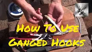 How to use Gang Hooks | The Hook and The Hook.