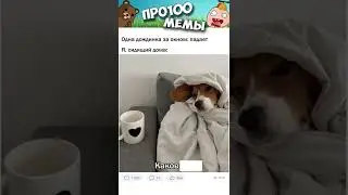 МЕМЫ просто МЕМЫ 