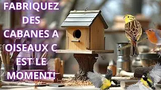 Je vous montre comment fabriquer des cabanes à oiseaux sans outils (ou presque🤭) - Niveau Enfant
