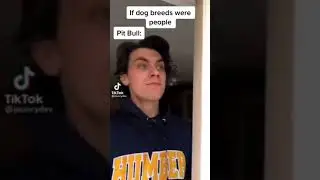 If dogs were humans. Если бы собаки были людьми