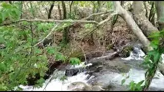 Saklı Irmak -Temiz DOĞA Keşfi 