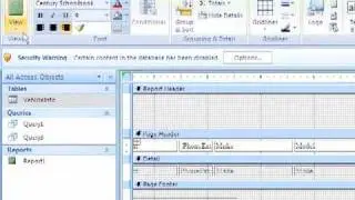 004 - Generating Reports in Access 2007