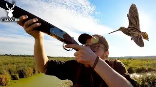 AN EXTRAORDINARY HUNT: SNIPES IN THE MARSHES