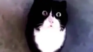 Шок! Слабонервным не смотреть!!!