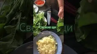 Щи свежайшие очень вкусные 
