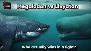 Megalodon vs Livyatan who would actually win?