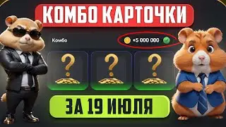 КОМБО КАРТЫ за 19-20 ИЮЛЯ в Хамстер Комбат
