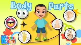Kids Body Parts - Learn about parts of the body
