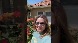 Spring 3024 